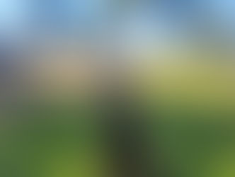 Vader | Doberman | Long Beach, CA | In Training