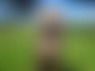 Atlas | Weimaraner | Palm Springs, CA | In-Training