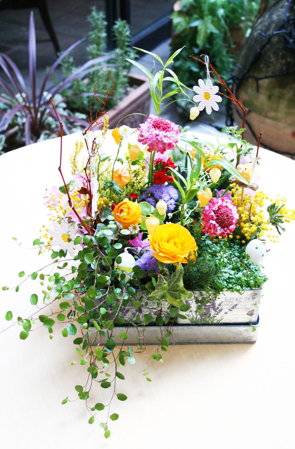 Voyage des fleurs