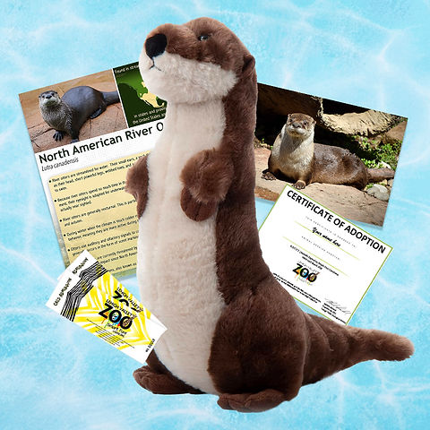 ADOPT An Animal - River Otter | Lvzoo