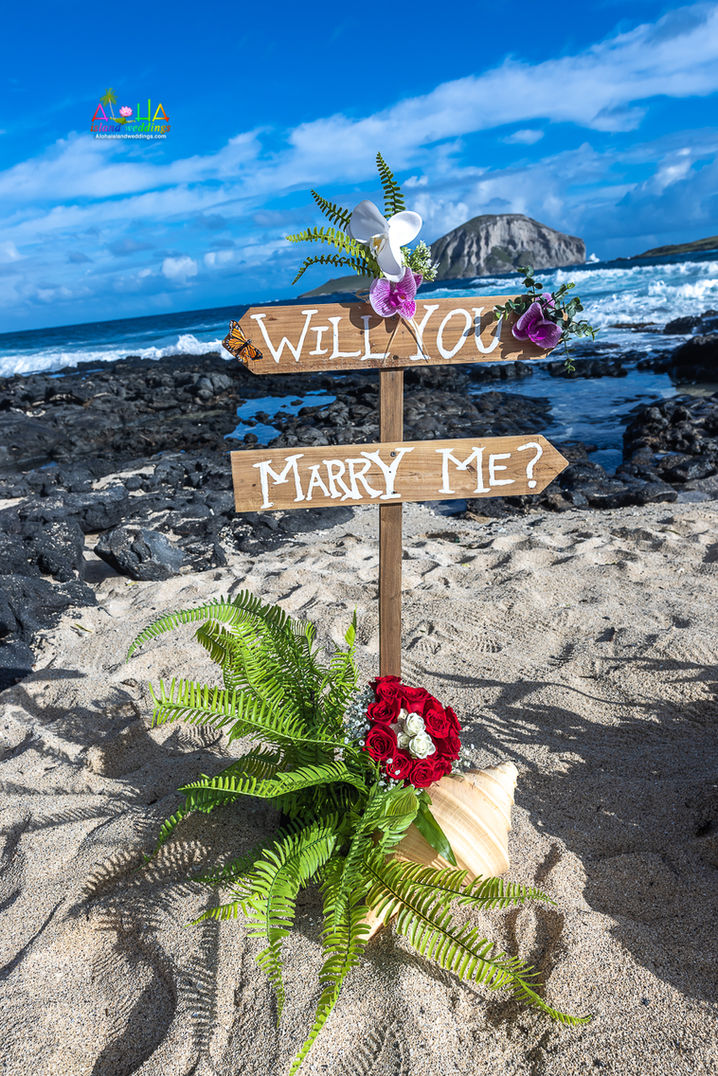 Hawaii-wedding-proposal-W-3.jpg