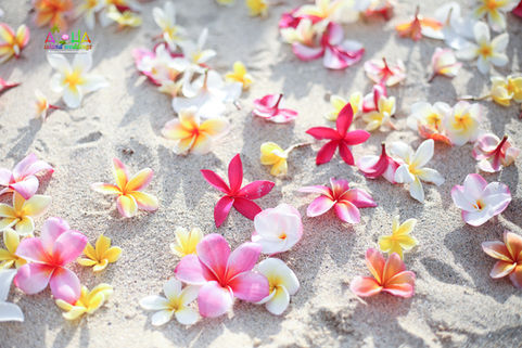 Bride & groom on a beach in Hawaii with rainbow plumeria flowers