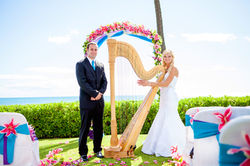 Harpist in Hawaii 9