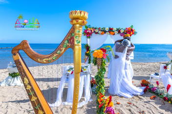 Hawaii-wedding-ceremonies-JC-W-121.jpg
