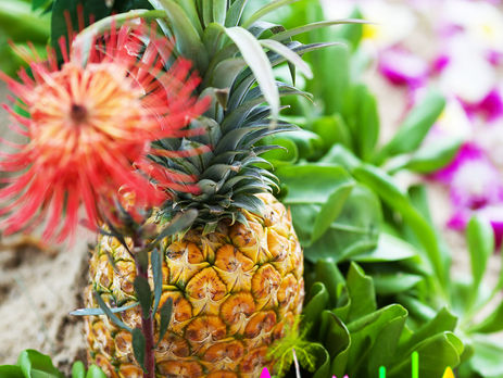 Pineapple Drop Wedding Inspiration