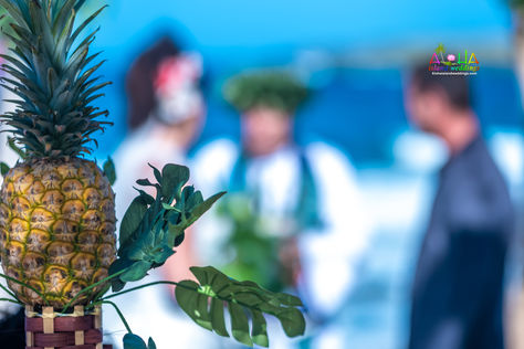 AA-Hawaii-weddings-1-17.jpg
