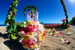 Wedding Ceremony 1-69