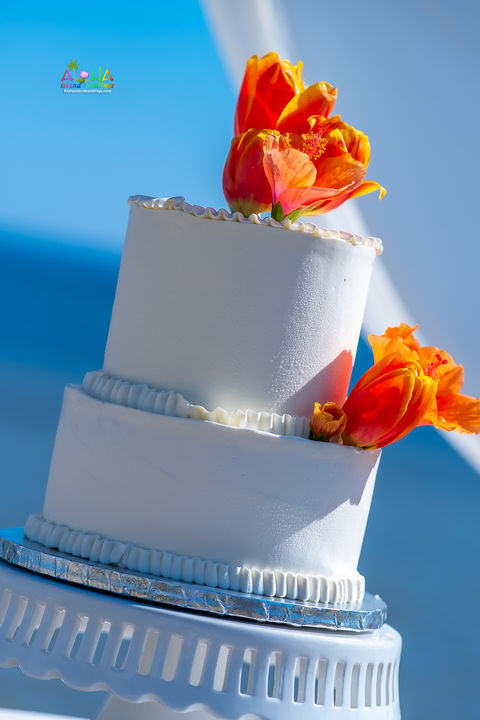 Hawaii-wedding-ceremonies-JC-C-101.jpg