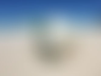 Hawaiian wedding bouquet with white Plumeria