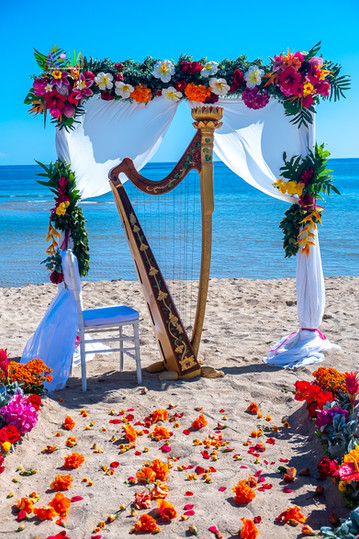 Hawaii-wedding-ceremonies-JC-B-9.jpg