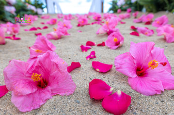 Honolulu-Hawaii-wedding-1-47.jpg