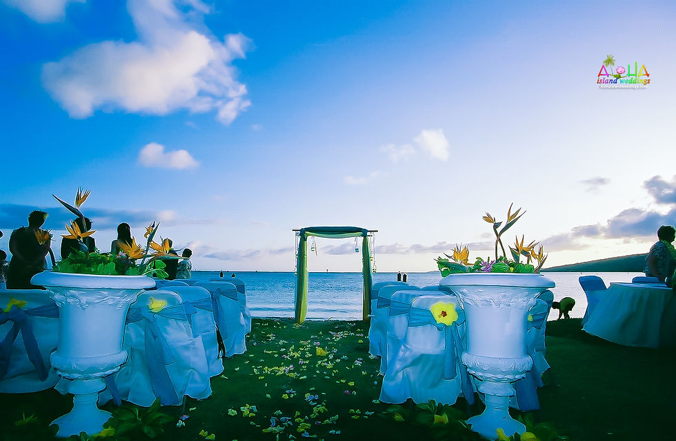 A private estate venue in Hawaii -16