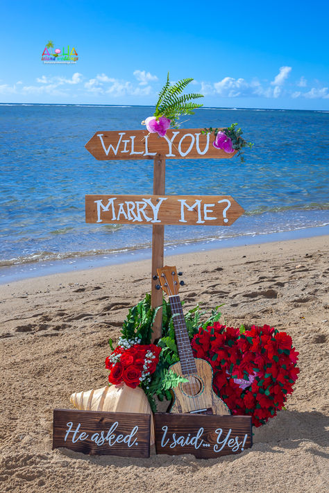 Hawaii-proposal-Arwin-W-4.jpg