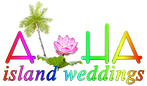 Disney wedding - logo 