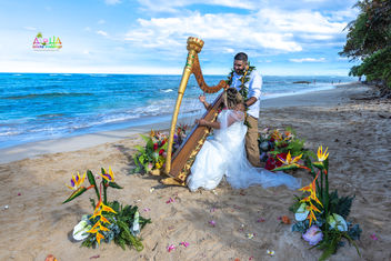 Oahu-wedding-Picture-3-217.jpg