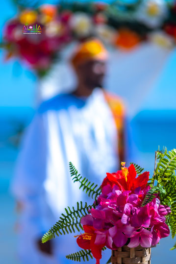 Hawaii-wedding-ceremonies-JC-C-15.jpg