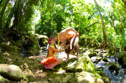 Photo tour 1-100