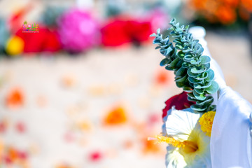 Hawaii-wedding-ceremonies-JC-C-12.jpg