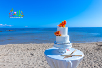 Hawaii-wedding-ceremonies-JC-W-100.jpg