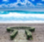 White rose key shape design proposal