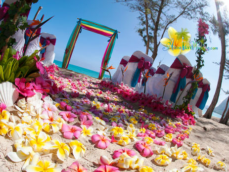 The natural beauty- Hawaii beach wedding 
Aloha Island Wedding