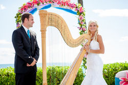 Harpist in Hawaii 8