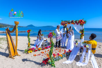 Hawaii-wedding-ceremonies-JC-W-88.jpg