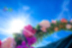 circle Hawaii wedding arch - 17