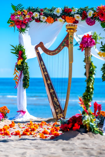 Hawaii-wedding-ceremonies-JC-C-9.jpg