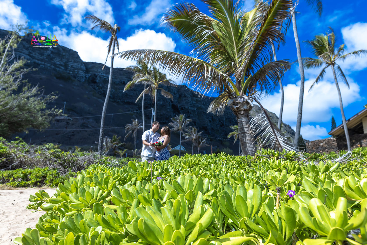 Hawaii-engagement-Oahu-1-94.jpg