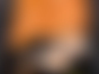 מתכון לסושי ביתי