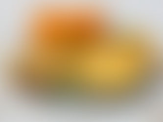 צילום אוכל לחברת אגרו-טק