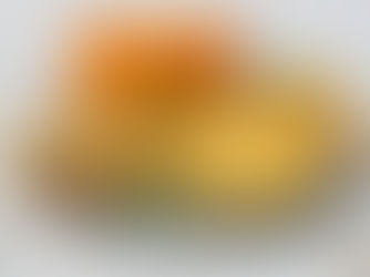 צילום אוכל לחברת אגרו-טק