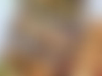 צילום מגשי אירוח לקייטרינג