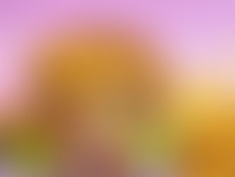 צילום המבורגר ארגנטינאי