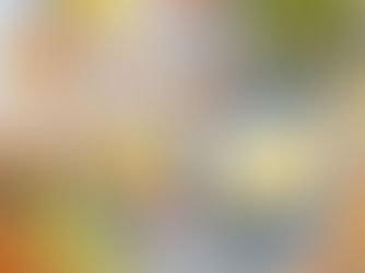 צילום אוכל באילת