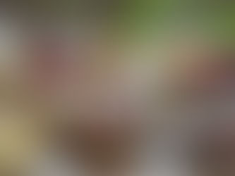 חגיגה מרוקאית