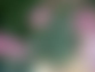 מתכון לקסטה וניל