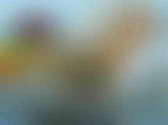 צילום עוגות ואמנות