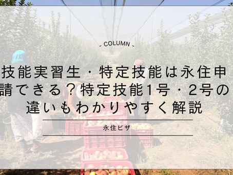 技能実習生・特定技能は永住申請できる？特定技能1号・2号の違いもわかりやすく解説