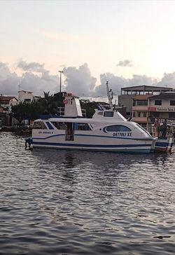 WhatsApp Image 2025-05-10 at 01.57.48