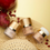 縮圖：Jane Iredale 防曬粉SPF 30 Powder Me SPF ® Dry Sunscreen 17.5g (4 colors)