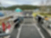 IMG_9688.jpeg