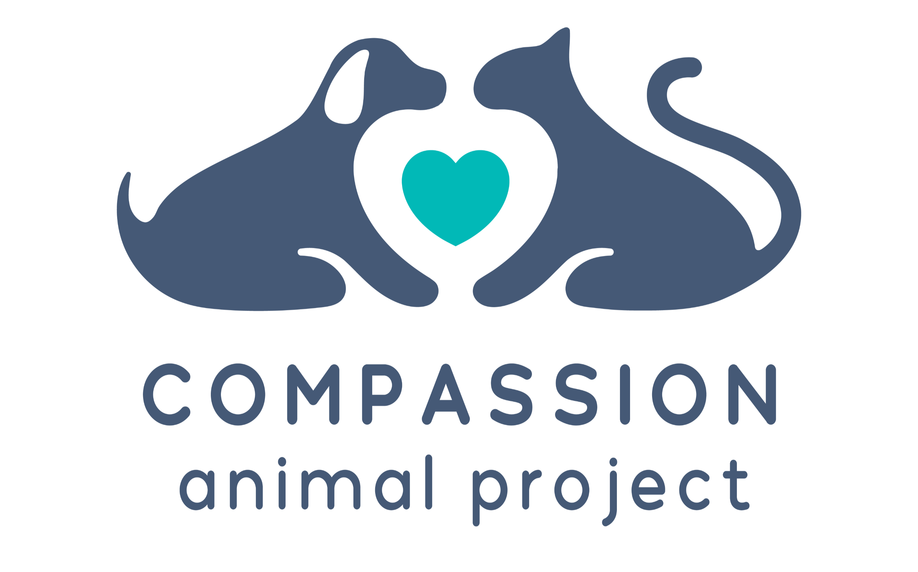 Compassion Animal Project | Financial Assistance for Your Pets' Life-Saving Treatments Compassion Animal Project | Financial Assistance for Your Pets' Life-Saving Treatments