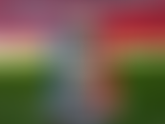 Regeln für den Pokalwettbewerb