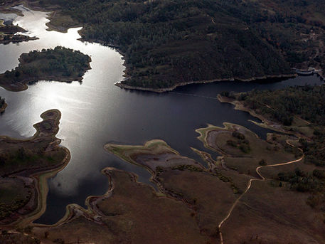 C3JV Eager to Support Your Conservation Project!