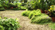 Test Your Landscape IQ!