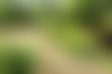 Test Your Landscape IQ!