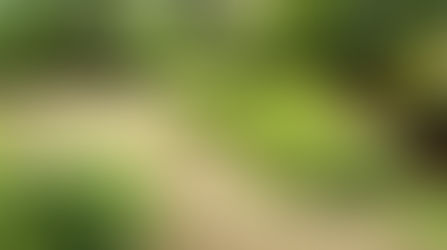 Test Your Landscape IQ!