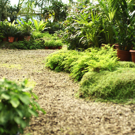 Préparer son jardin avant le printemps